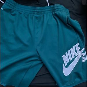 Nike SB shorts